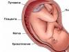 Почему возникает гематома в матке при беременности?