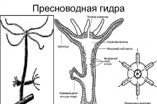 Кракен не работает тор