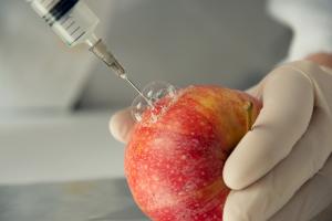 Kako razlikovati GMO proizvode od pravih?